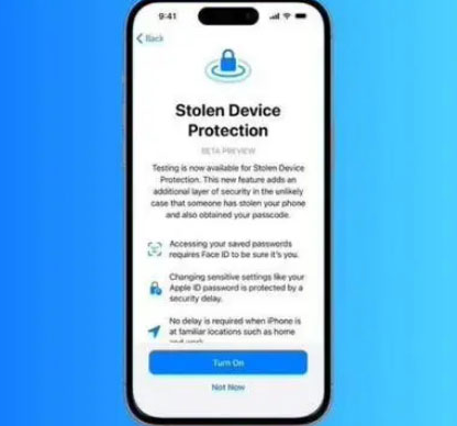 卢市镇苹果授权维修店分享被盗设备保护功能开启方法 
