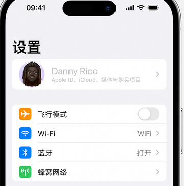 卢市镇appleID维修服务iPhone设置中Apple ID显示为灰色无法使用 