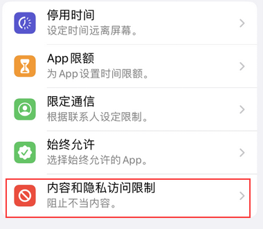 卢市镇appleID维修服务iPhone设置中Apple ID显示为灰色无法使用