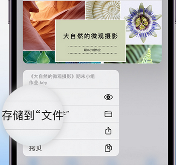 卢市镇apple维修中心分享iPhone文件应用中存储和找到下载文件