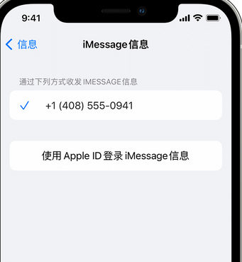 卢市镇apple维修iPhone上无法正常发送iMessage信息 