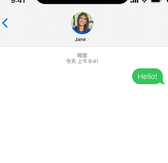 卢市镇apple维修iPhone上无法正常发送iMessage信息