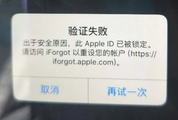 卢市镇iPhone维修分享iPhone上正常登录或使用AppleID怎么办 