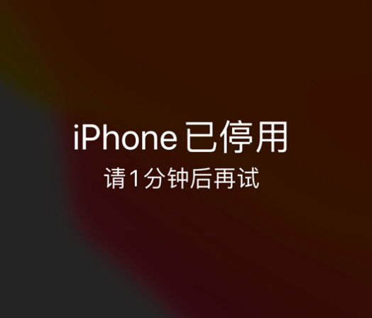 卢市镇苹果手机维修分享:iPhone 显示“不可用”或“已停用”怎么办？还能保留数据吗？ 