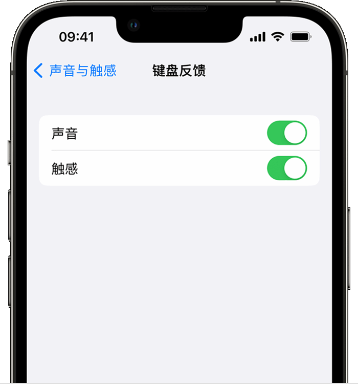 卢市镇苹果14维修店分享如何在 iPhone 14 机型中使用触感键盘 