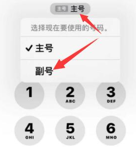 卢市镇苹果14维修店分享iPhone 14 Pro Max使用副卡打电话的方法 