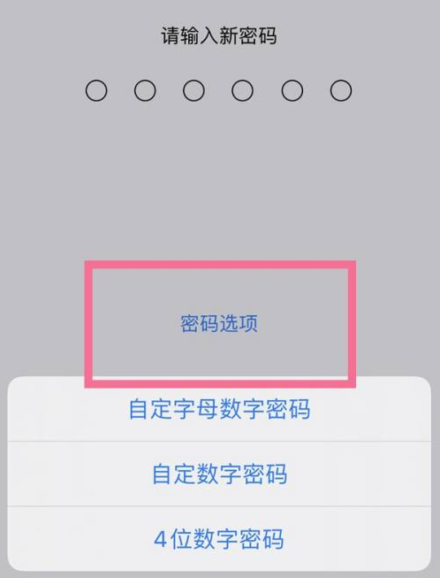 卢市镇苹果14维修分享iPhone 14plus设置密码的方法 