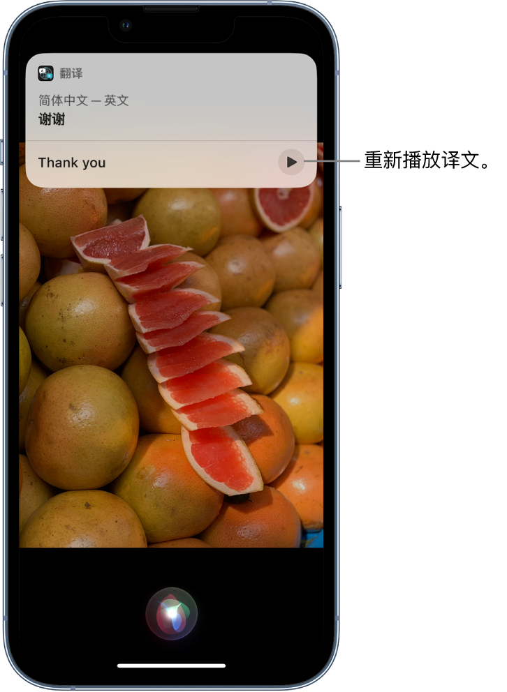 卢市镇苹果14维修分享 iPhone 14 机型中使用 Siri：了解 Siri 能帮你做什么 