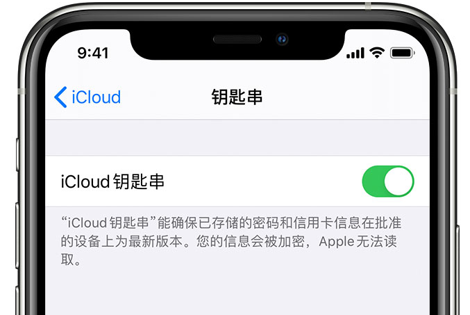 卢市镇苹果手机维修分享在 iPhone 上开启 iCloud 钥匙串之后会储存哪些信息 