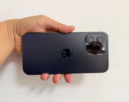 卢市镇苹果维修点分享iPhone 14 Pro Max发烫多重诱因剖析 